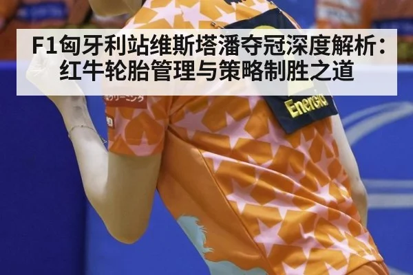 F1匈牙利站维斯塔潘夺冠深度解析：红牛轮胎管理与策略制胜之道 - hth
